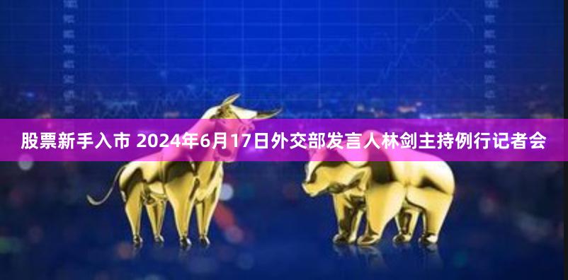 股票新手入市 2024年6月17日外交部发言人林剑主持例行记者会