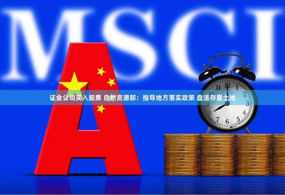 证金公司买入股票 自然资源部：指导地方落实政策 盘活存量土地