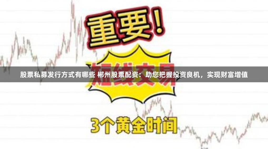 股票私募发行方式有哪些 郴州股票配资：助您把握投资良机，实现财富增值