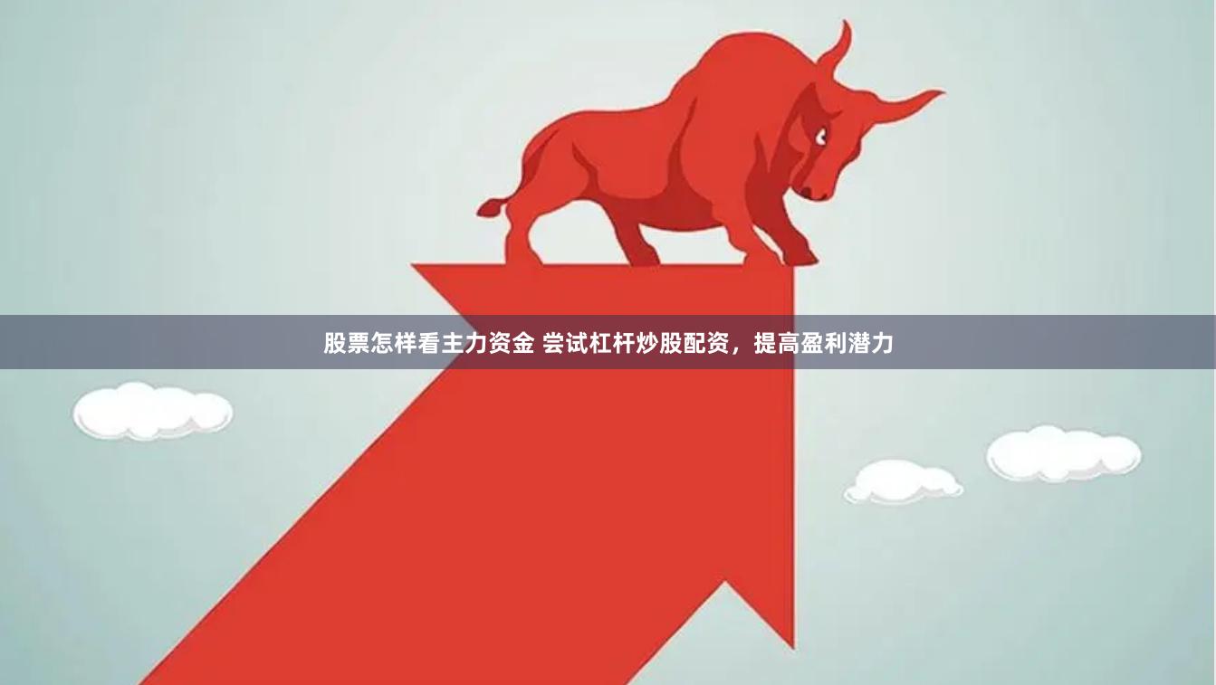 股票怎样看主力资金 尝试杠杆炒股配资，提高盈利潜力