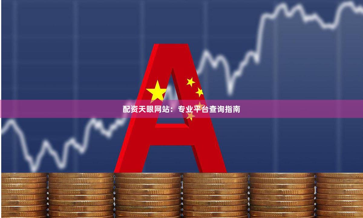 配资天眼网站：专业平台查询指南