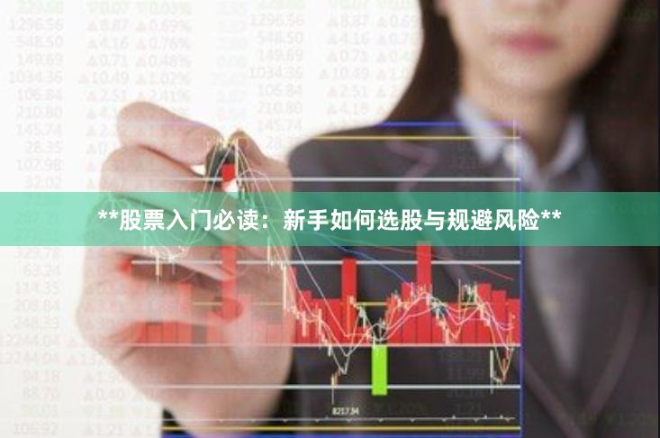 **股票入门必读：新手如何选股与规避风险**