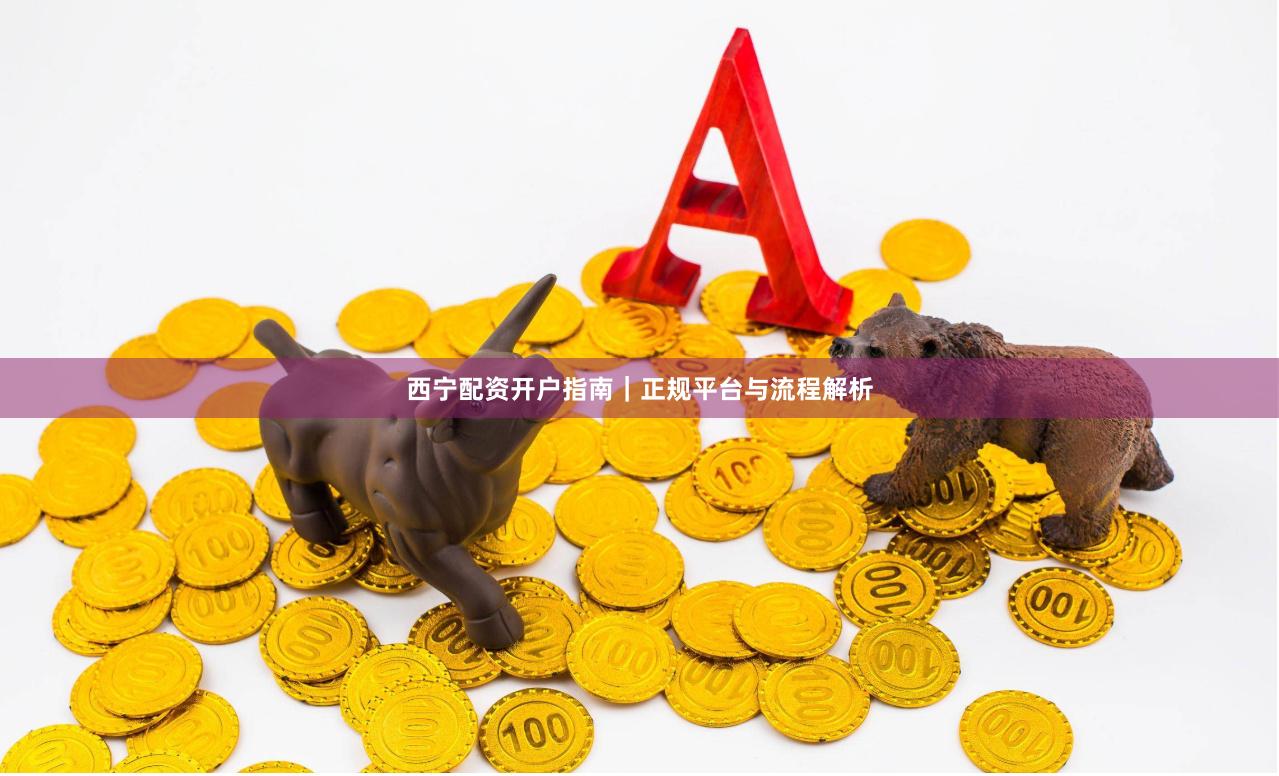 西宁配资开户指南｜正规平台与流程解析